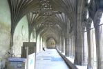 PICTURES/Road Trip - Canterbury Cathedral/t_Cloister3.JPG
